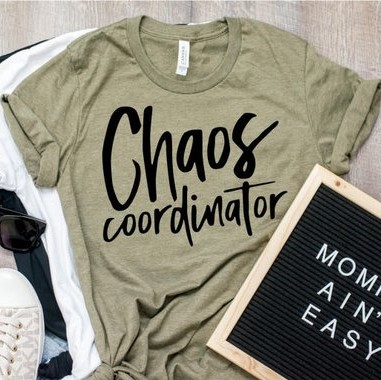 FAIRE choas coordinator | Nixon & Company